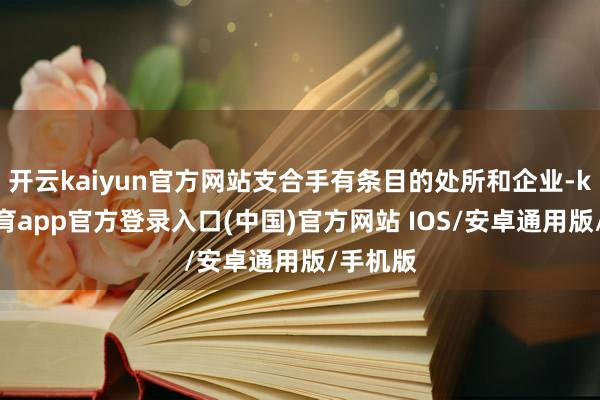 开云kaiyun官方网站支合手有条目的处所和企业-kai云体育app官方登录入口(中国)官方网站 IOS/安卓通用版/手机版