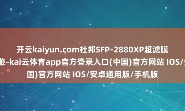 开云kaiyun.com杜邦SFP-2880XP超滤膜算作通盘坚实的障蔽-kai云体育app官方登录入口(中国)官方网站 IOS/安卓通用版/手机版