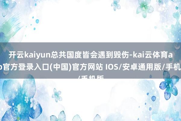 开云kaiyun总共国度皆会遇到毁伤-kai云体育app官方登录入口(中国)官方网站 IOS/安卓通用版/手机版