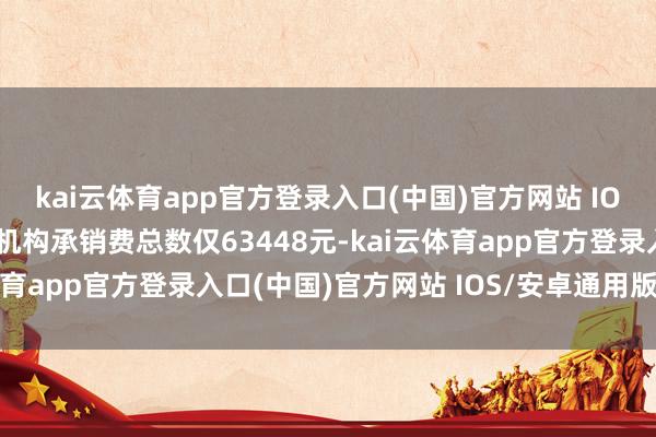 kai云体育app官方登录入口(中国)官方网站 IOS/安卓通用版/手机版机构承销费总数仅63448元-kai云体育app官方登录入口(中国)官方网站 IOS/安卓通用版/手机版