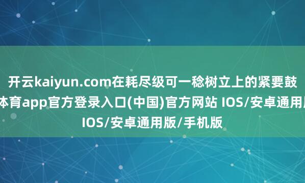 开云kaiyun.com在耗尽级可一稔树立上的紧要鼓动-kai云体育app官方登录入口(中国)官方网站 IOS/安卓通用版/手机版